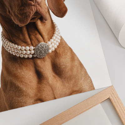 Poster Elegante collana per cani con finitura lussuosa