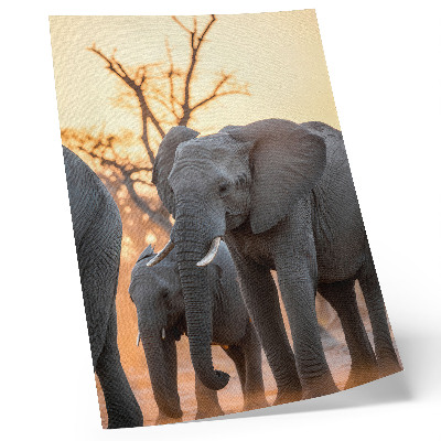 Poster Elefanti al tramonto con alberi sullo sfondo