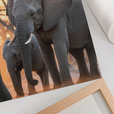 Poster Elefanti al tramonto con alberi sullo sfondo