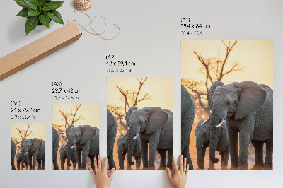 Poster Elefanti al tramonto con alberi sullo sfondo