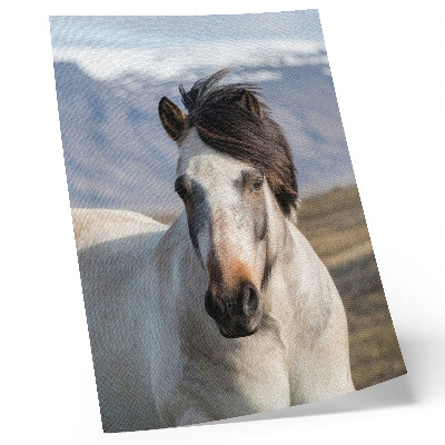 Foto su tela La bellezza naturale di un cavallo sullo sfondo delle montagne, la tranquillità, la semplicità