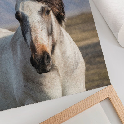 Foto su tela La bellezza naturale di un cavallo sullo sfondo delle montagne, la tranquillità, la semplicità
