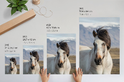Foto su tela La bellezza naturale di un cavallo sullo sfondo delle montagne, la tranquillità, la semplicità