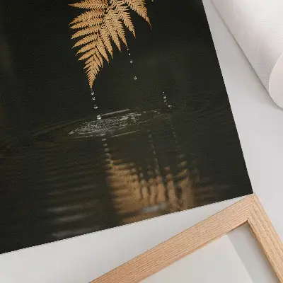 Poster felce sull'acqua con gocce e riflessi