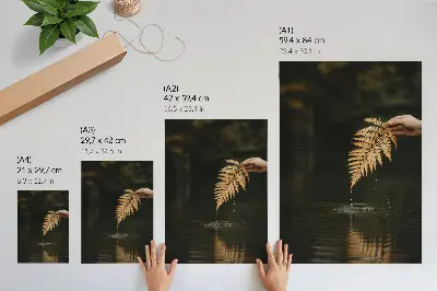 Poster felce sull'acqua con gocce e riflessi