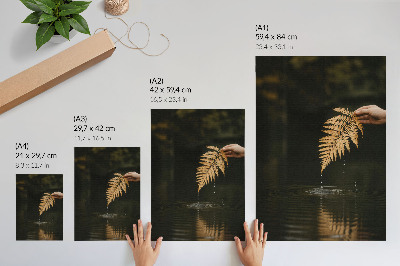 Poster Felce sull'acqua, gocce armoniose, Riflesso