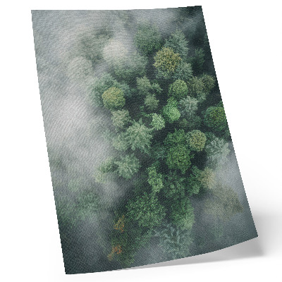 Poster Alberi verdi avvolti da una delicata nebbia bianca