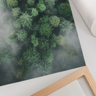 Poster Alberi verdi avvolti da una delicata nebbia bianca