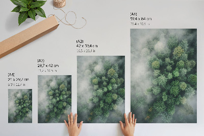 Poster Alberi verdi avvolti da una delicata nebbia bianca