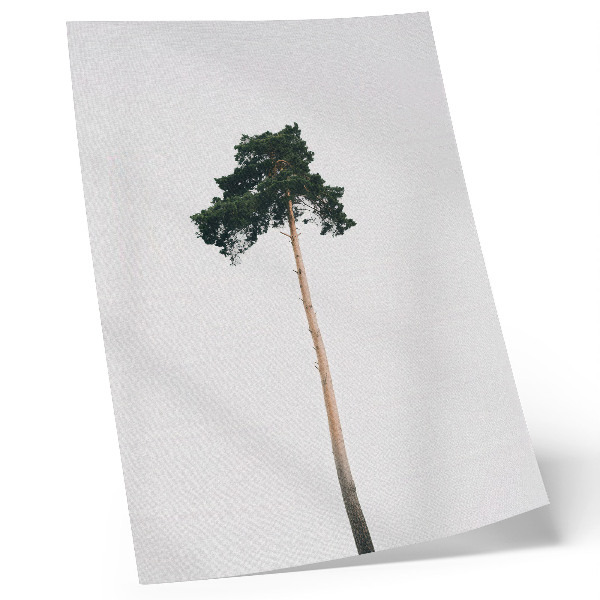 Poster Un albero solitario su uno sfondo chiaro con minimalismo