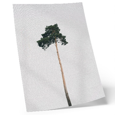 Poster Un albero solitario su uno sfondo chiaro con minimalismo