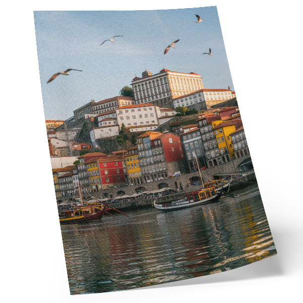 Foto su tela Case popolari colorate, navi eleganti, gabbiani