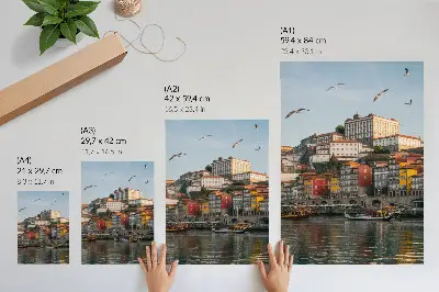 Foto su tela con case popolari colorate, navi eleganti e gabbiani