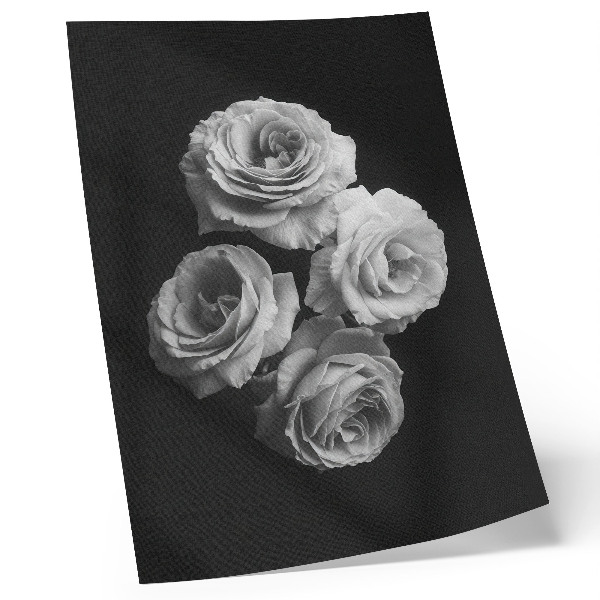 Stampa su tela rose bianche e nere, minimalismo, eleganza classica