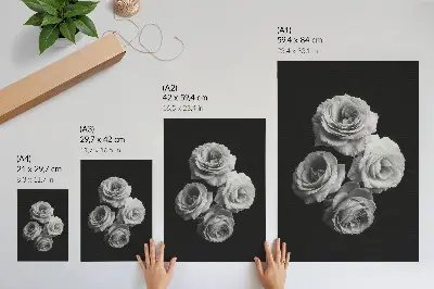 Stampa su tela rose bianche e nere con stile minimalista ed eleganza classica