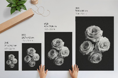 Stampa su tela rose bianche e nere, minimalismo, eleganza classica