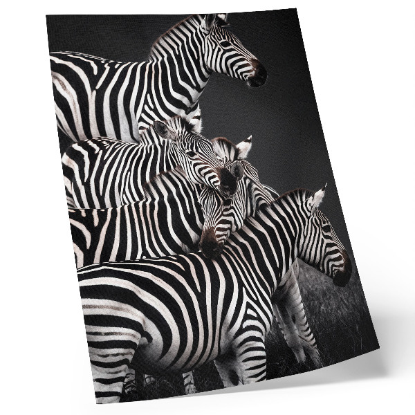 Foto su tela Zebra con strisce verticali a contrasto bianche e nere