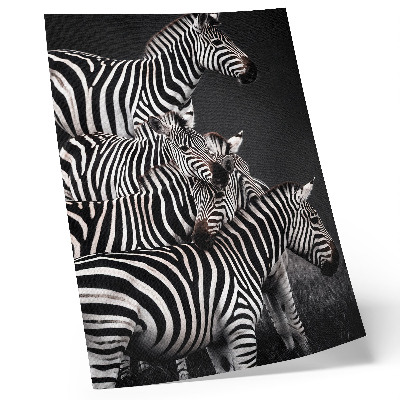 Foto su tela Zebra con strisce verticali a contrasto bianche e nere