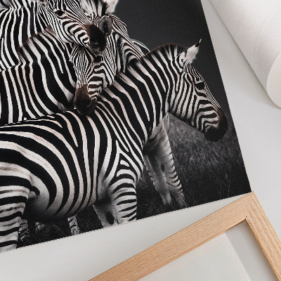 Foto su tela Zebra con strisce verticali a contrasto bianche e nere