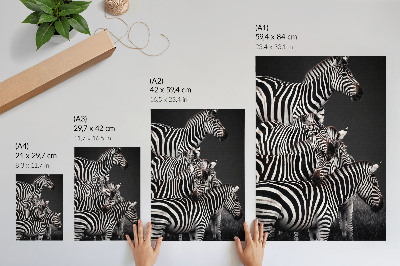 Foto su tela Zebra con strisce verticali a contrasto bianche e nere