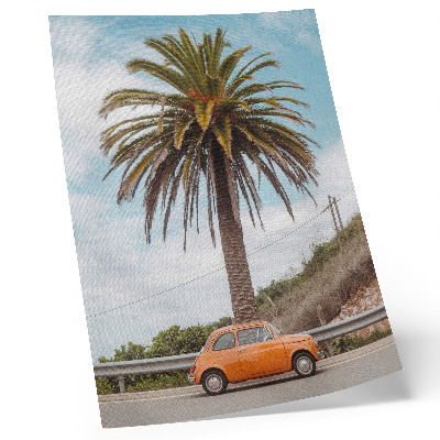 Poster Palma retrò auto natura spensierata