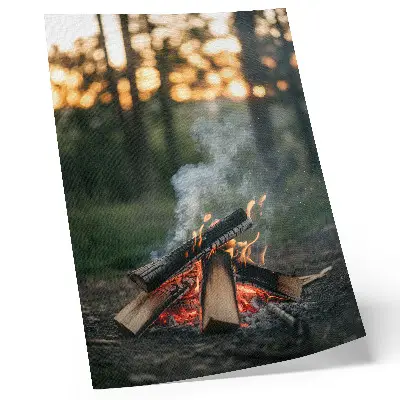 Poster falò sullo sfondo di una foresta con fumo