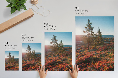 Stampa su tela Alberi maestosi, colori caldi, atmosfera tranquilla
