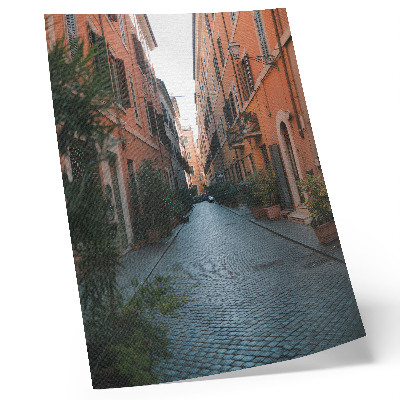 Stampa su tela Una strada affascinante con vasi di piante e colori caldi.