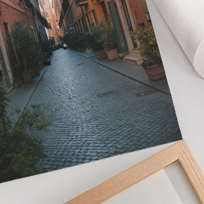 Stampa su tela Una strada affascinante con vasi di piante e colori caldi.