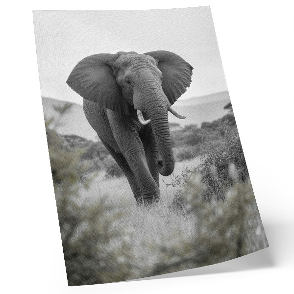 Poster Un grande elefante sullo sfondo di un paesaggio naturale.
