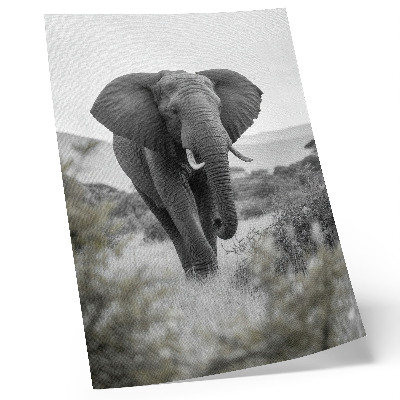 Poster Un grande elefante sullo sfondo di un paesaggio naturale.