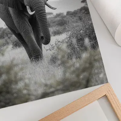 Poster con un grande elefante sullo sfondo di un paesaggio naturale