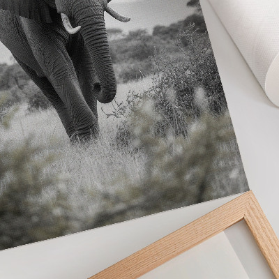 Poster Un grande elefante sullo sfondo di un paesaggio naturale.