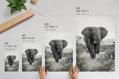 Poster con un grande elefante sullo sfondo di un paesaggio naturale