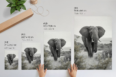 Poster Un grande elefante sullo sfondo di un paesaggio naturale.