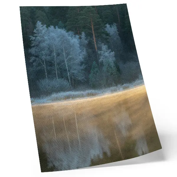 Stampa su tela una foresta silenziosa sulla superficie dell'acqua con un'aura mistica