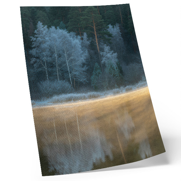 Stampa su tela Una foresta silenziosa sulla superficie dell'acqua, un'aura mistica