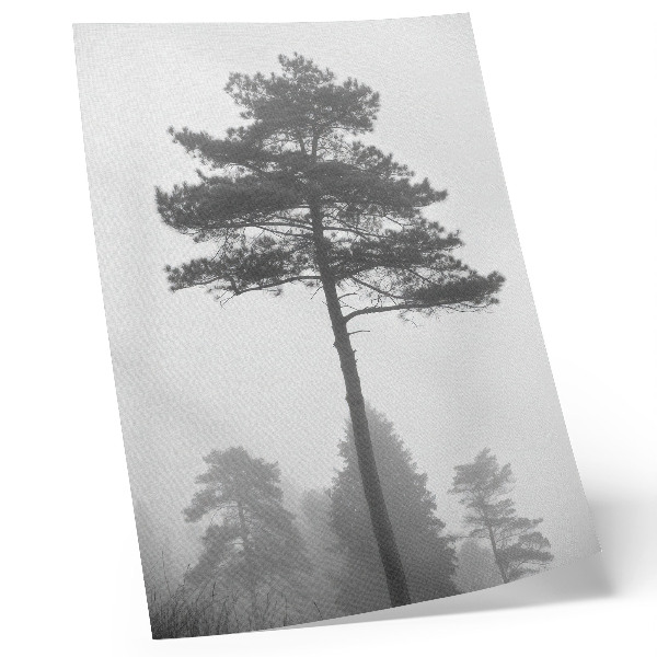 Foto su tela Albero bianco e nero nella nebbia, silenzio unico