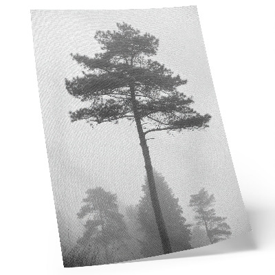 Foto su tela Albero bianco e nero nella nebbia, silenzio unico