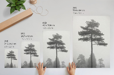 Foto su tela Albero bianco e nero nella nebbia, silenzio unico