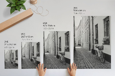Foto su tela Strada, case popolari, fiori, bicicletta, bianco e nero