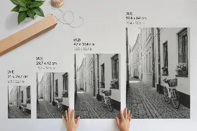 Foto su tela strada con case popolari, fiori e bicicletta in bianco e nero