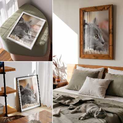 Poster Gatto grigio occhi verdi sguardo ravvicinato