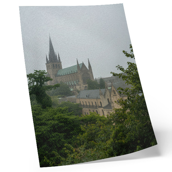 Foto su tela Una cattedrale gotica tra gli alberi verdi