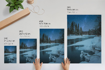 Poster Paesaggio invernale fiume alberi stelle
