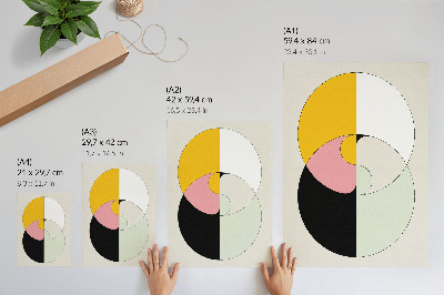 Stampa su tela Cerchi geometrici dai colori contrastanti, stile minimalista