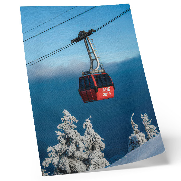 Foto su tela Paesaggio invernale, gondola rossa, alberi bianchi