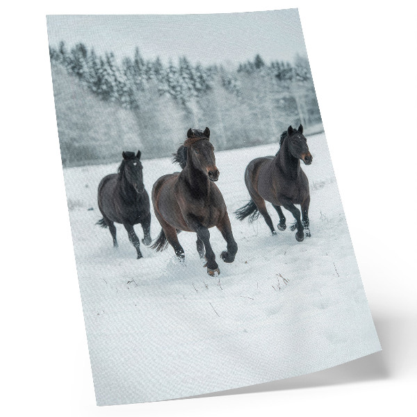Poster Cavalli neri in movimento su uno sfondo innevato