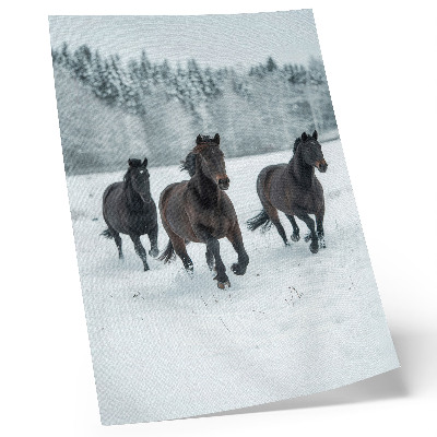 Poster Cavalli neri in movimento su uno sfondo innevato