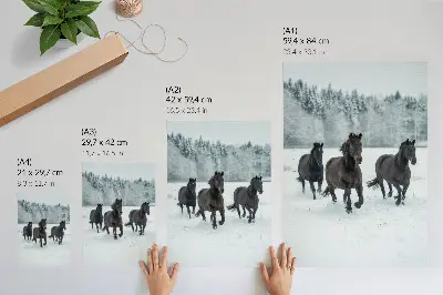 Poster cavalli neri in movimento su sfondo innevato